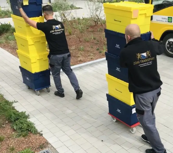 Mitarbeiter von Züri Transport tragen gepackte Umzugsboxen