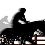 horse riding, horse, equestrian